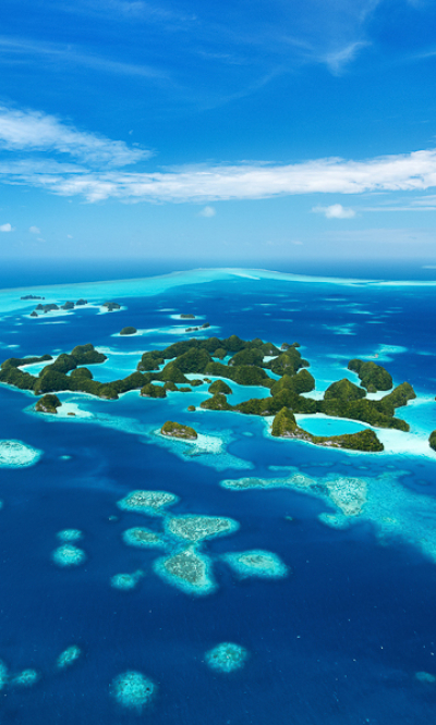 Palau Micronesia Scuba Diving Portrait