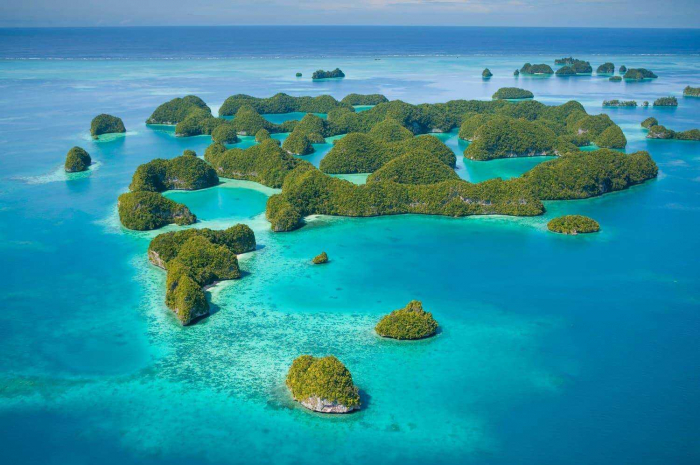 Palau Diving