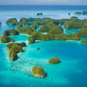 Palau Diving