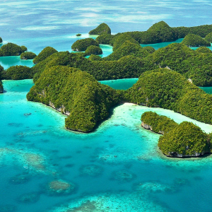 Palau Diving Banner