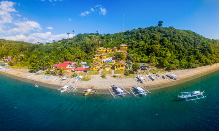 Buceo Anilao Philippines Thumb