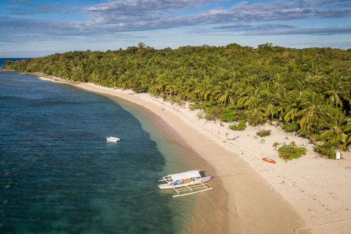 Apo Reef Occidental Mindoro Scuba Diving 4