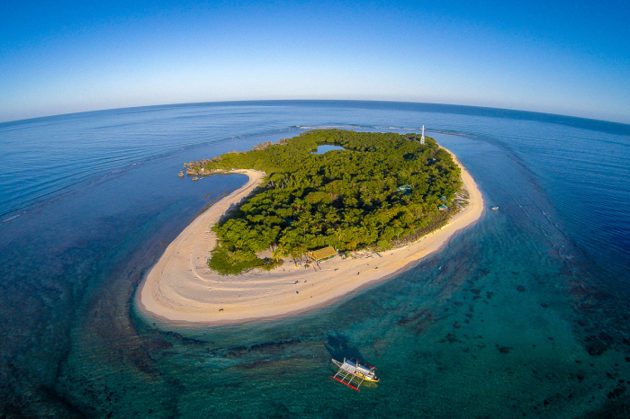 Apo Reef Occidental Mindoro Scuba Diving 5