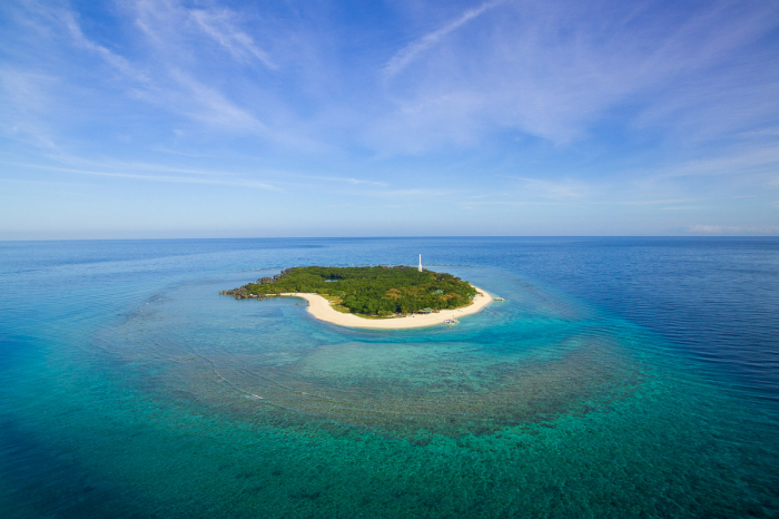 Apo Reef Occidental Mindoro Scuba Diving
