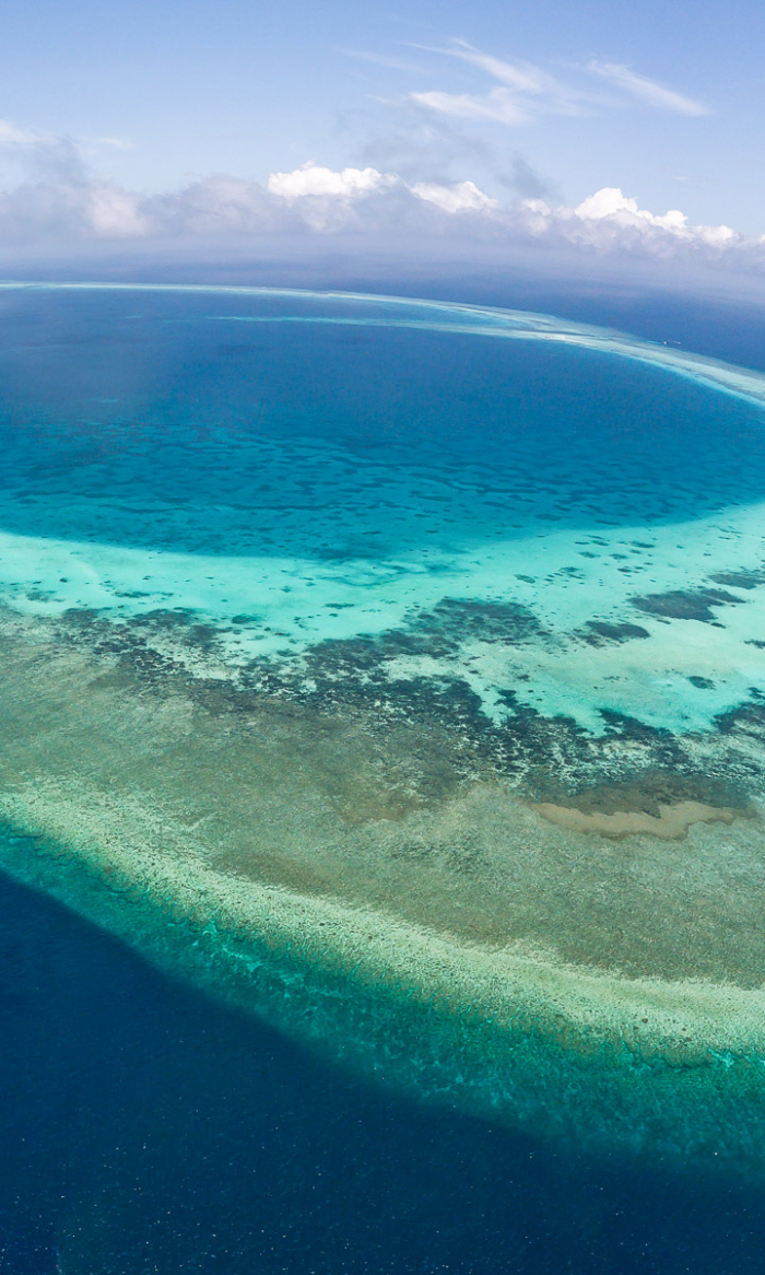 Tubbataha Reefs Diving Philippines Portrait