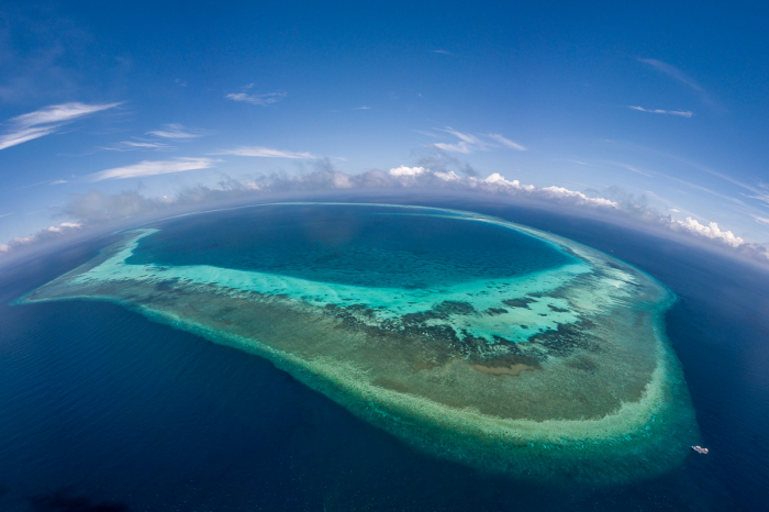 Tubbataha Reefs Diving Philippines
