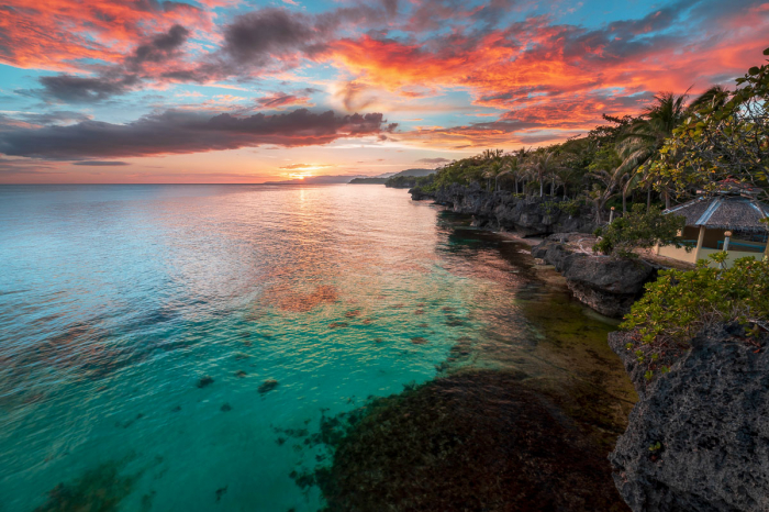 Anda Boholo Philippines Scuba Diving 7
