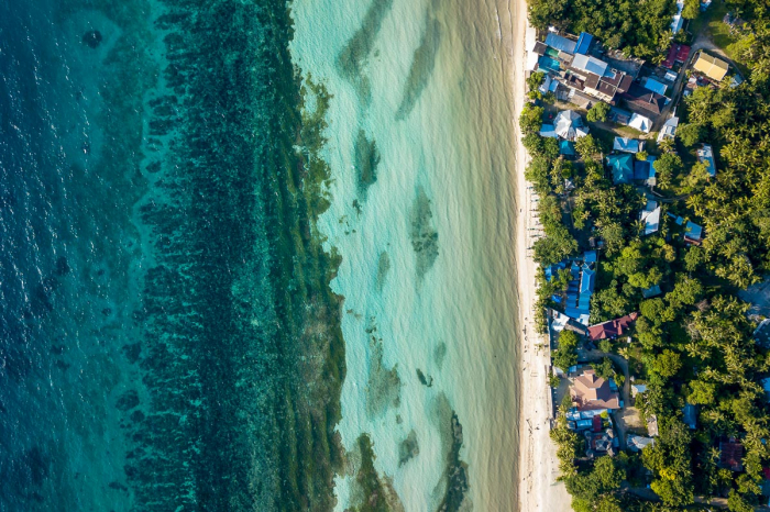 Anda Boholo Philippines Scuba Diving 12