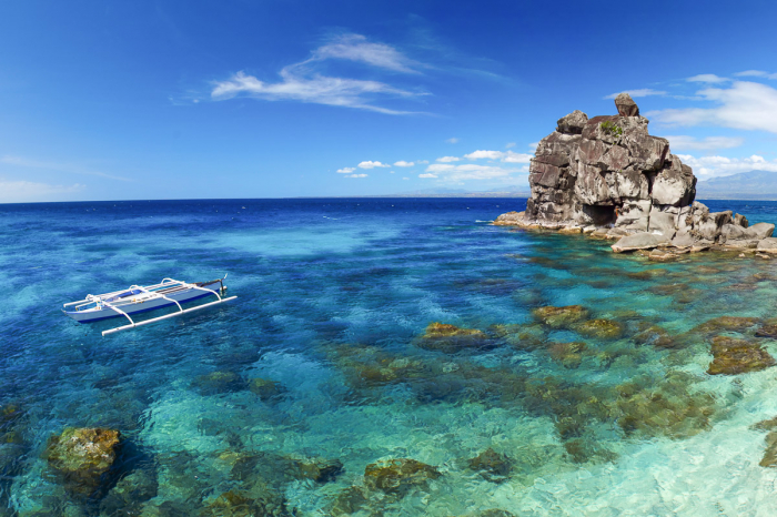 Dauin Dumaguete Apo Diving Philippines 11