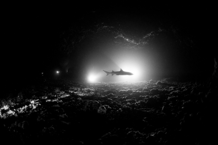 Malapascua Gato Shark Tunnel 3
