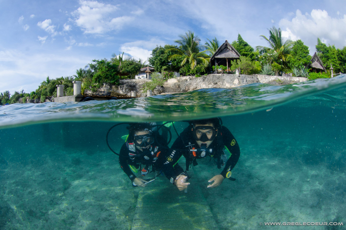 Dolphin House Moalboal Philippines 10