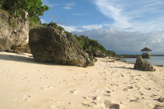 Dolphin House Moalboal Philippines 17