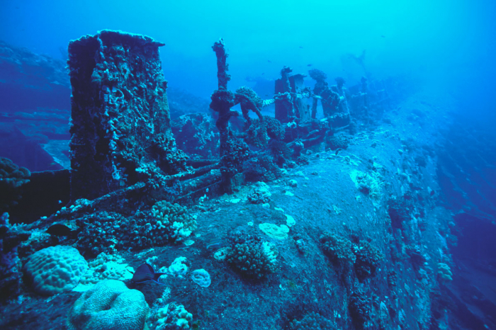Saudi Arabia Scuba Diving 3