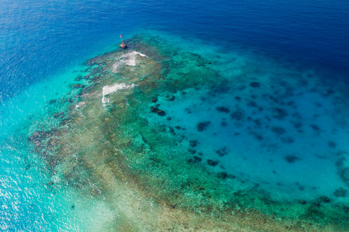 Saudi Arabia Scuba Diving 17