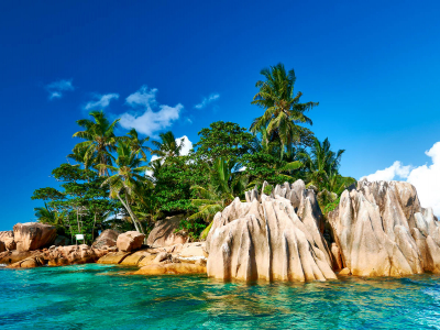 Seychelles Scuba Diving Banner