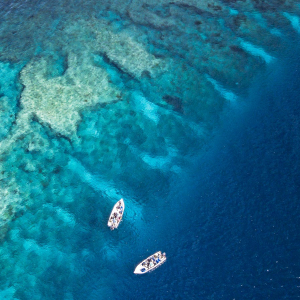 Frontier Diving Seychelles Banner