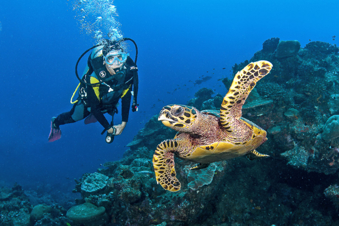 Aldabra Astove Cosmoledo Scuba Diving 4