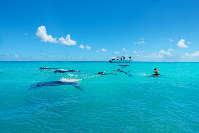 Alphonse Desroches Amirante Islands 13