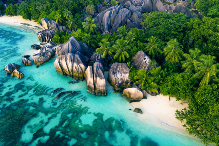 Praslin La Digue Scuba Diving