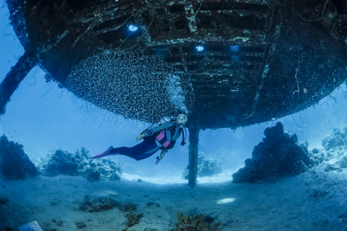 Sudan North South Scuba Diving 4