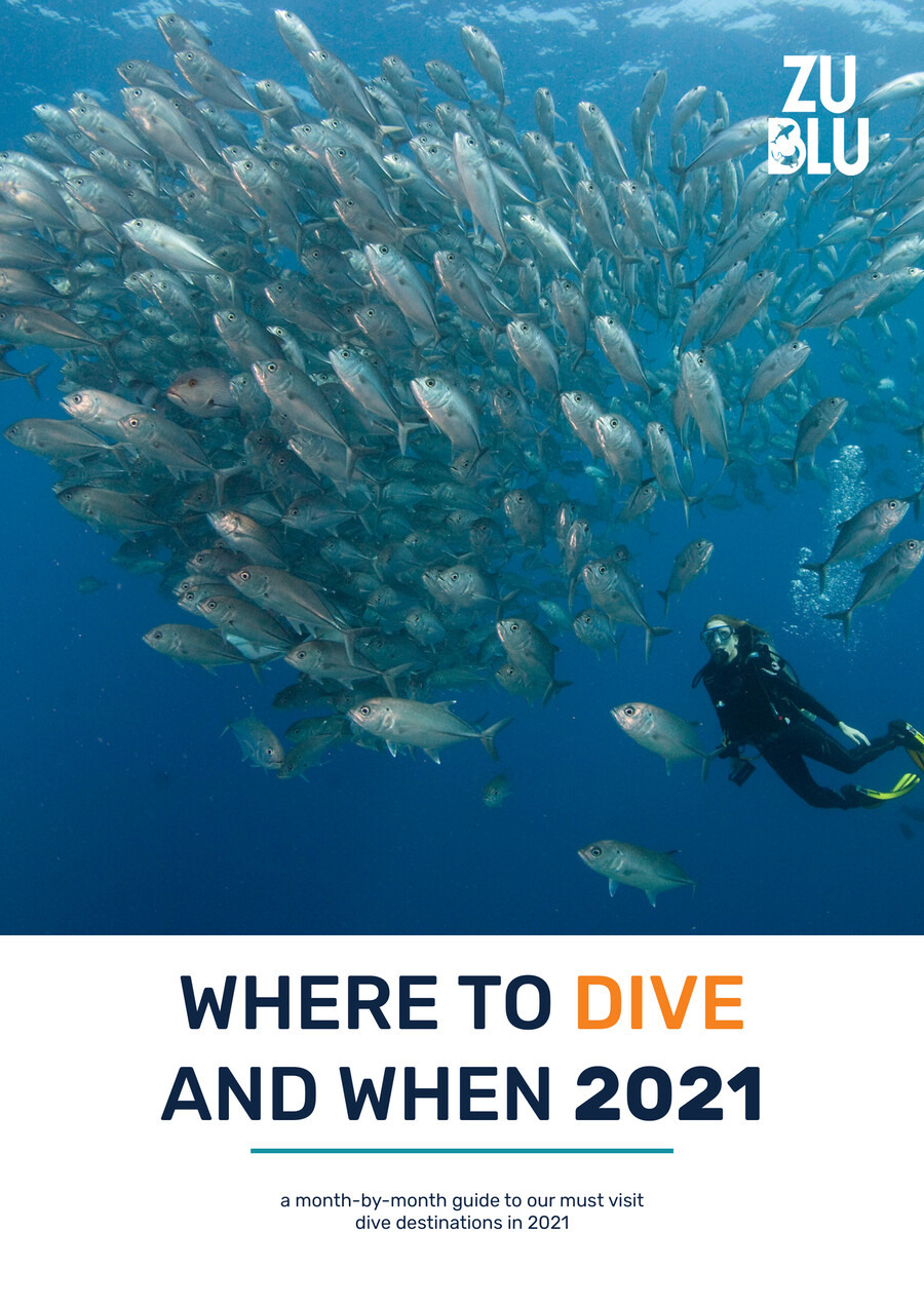 2021 Dive Guides