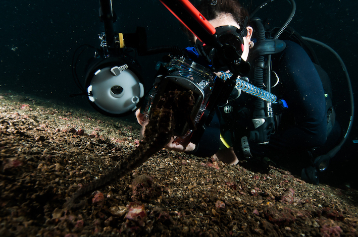 Lembeh Strait is a mecca for underwater macro photographers