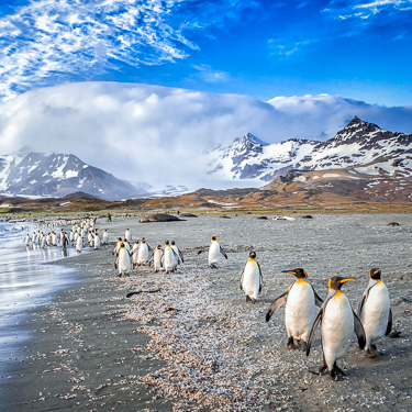 Walk in the footsteps of Sir Ernest Shackleton Image