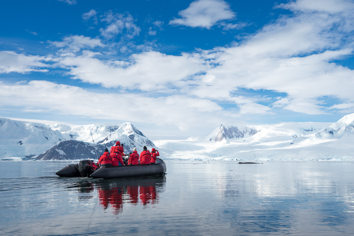 Antarctica Expedition Voyages 8
