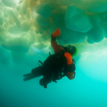 Arctic Diving Iceberg Diving