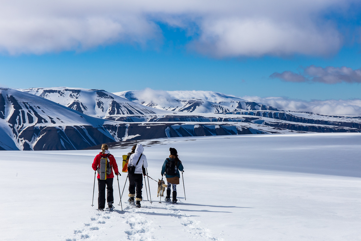 Sv Albard Jan Mayen Island 9