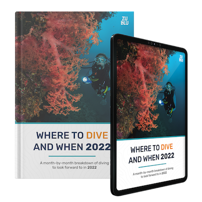 Guide Cover Mockup 2022