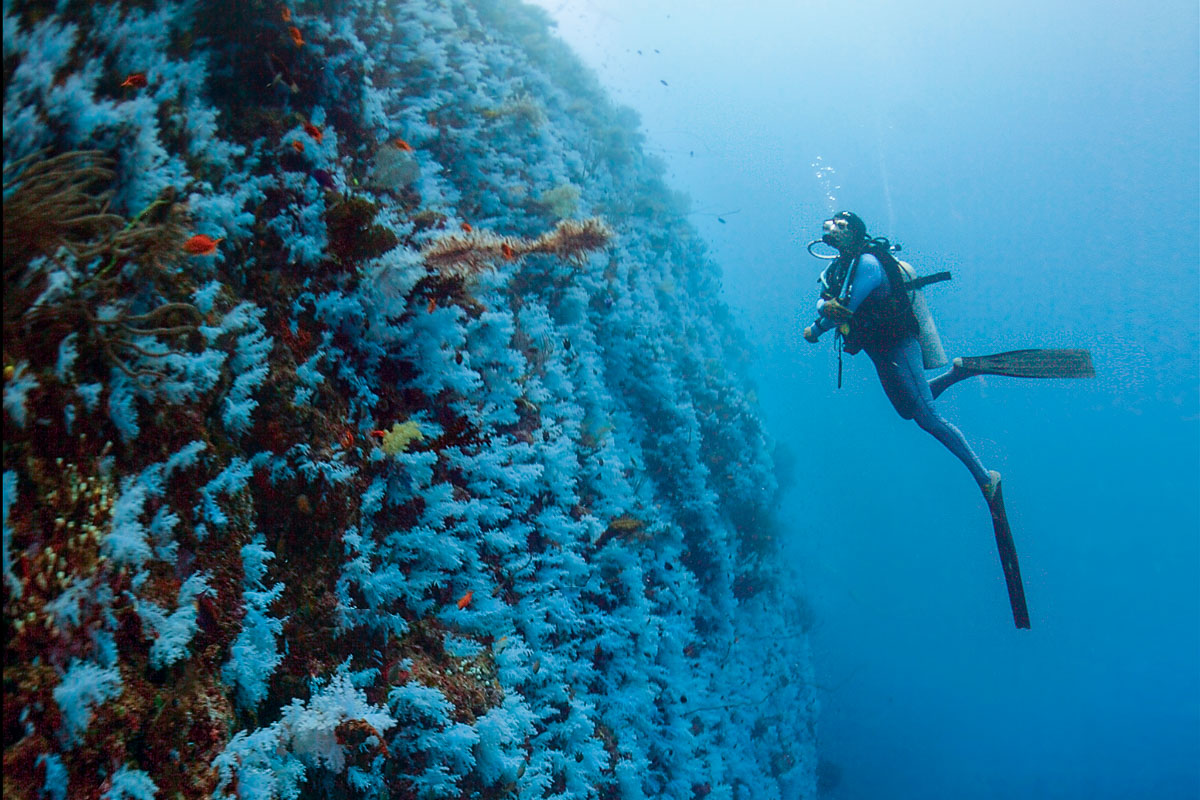 Diving the Somosomo Strait, Fiji