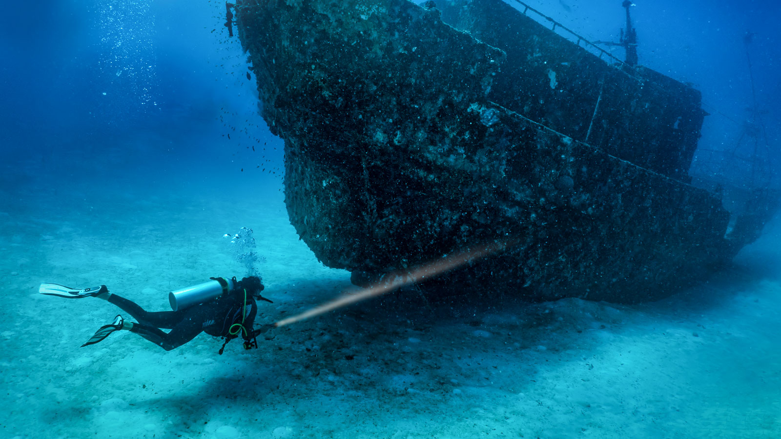 ZuBlu's Dive Annual - when and where to dive in 2025