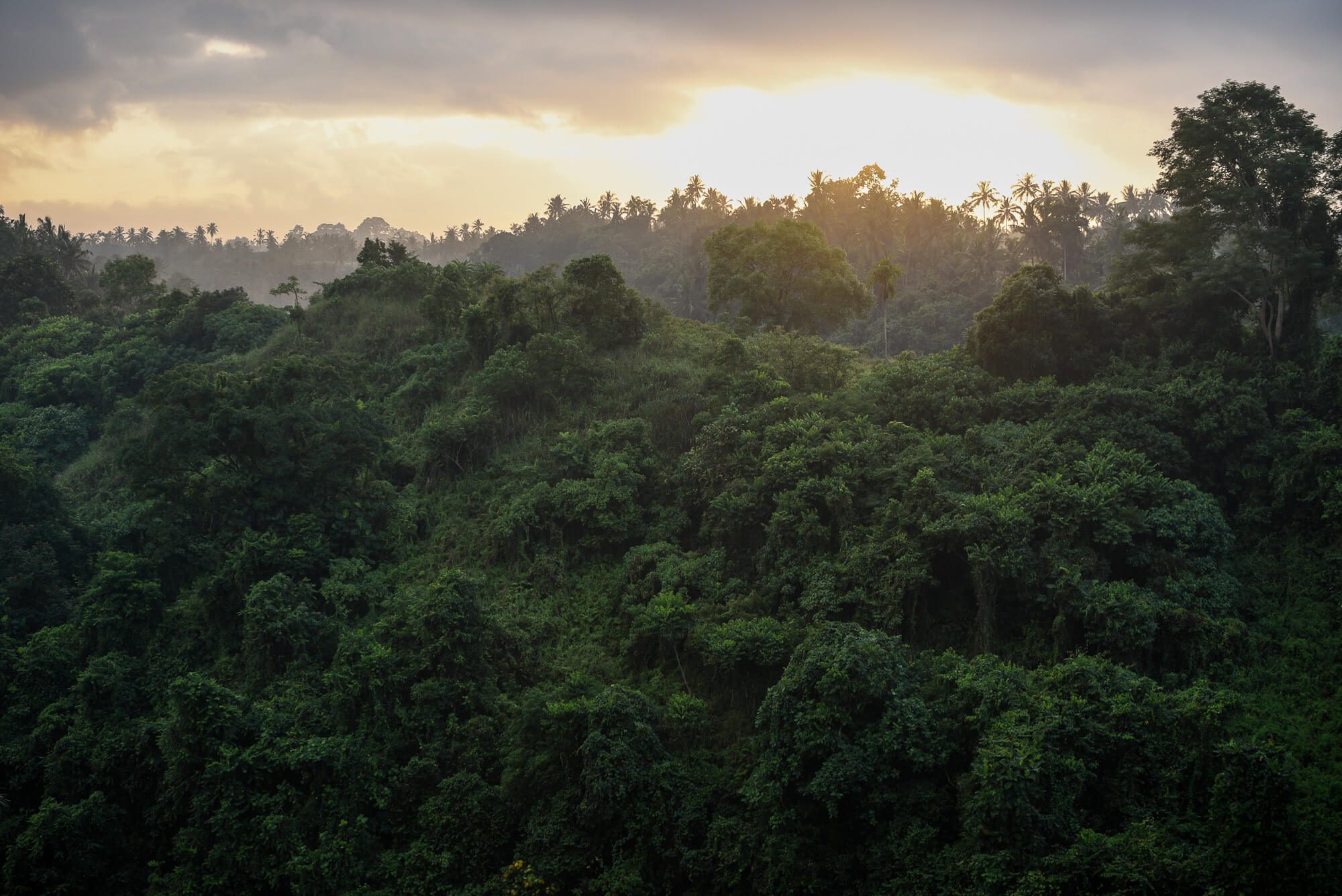 Campuhan Ridge in Ubud, Bali