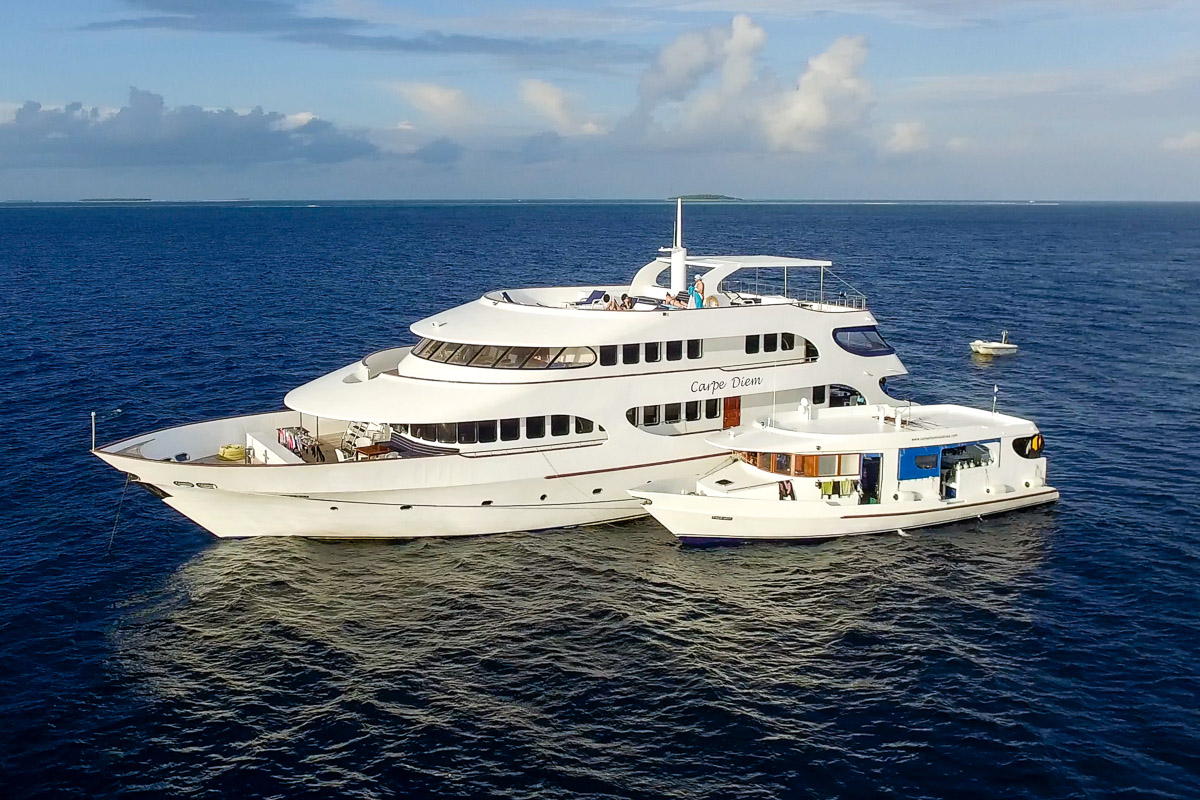 The Carpe Diem liveaboard sailing in the Maldives
