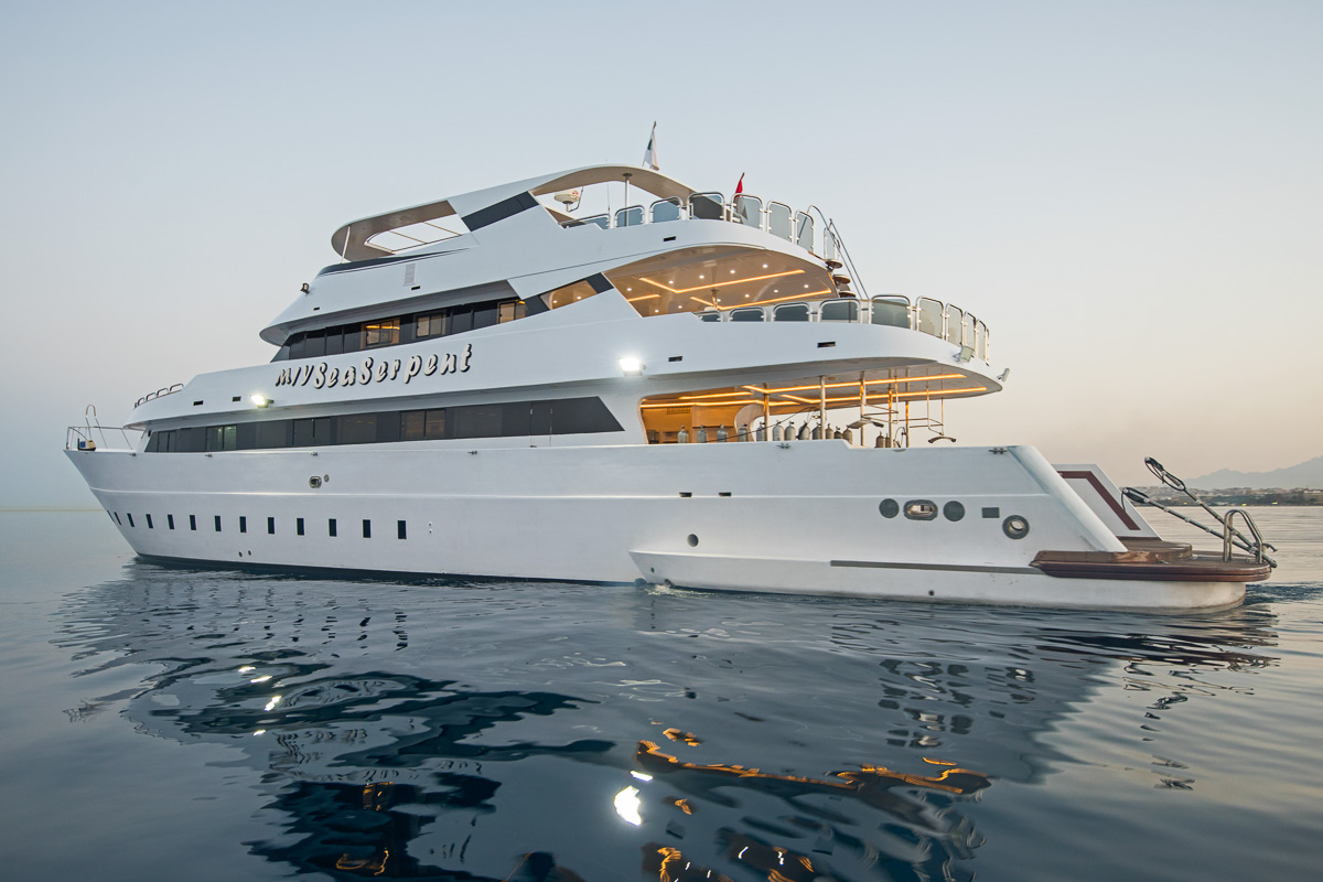 Sea Serpent liveaboards in the Red Sea