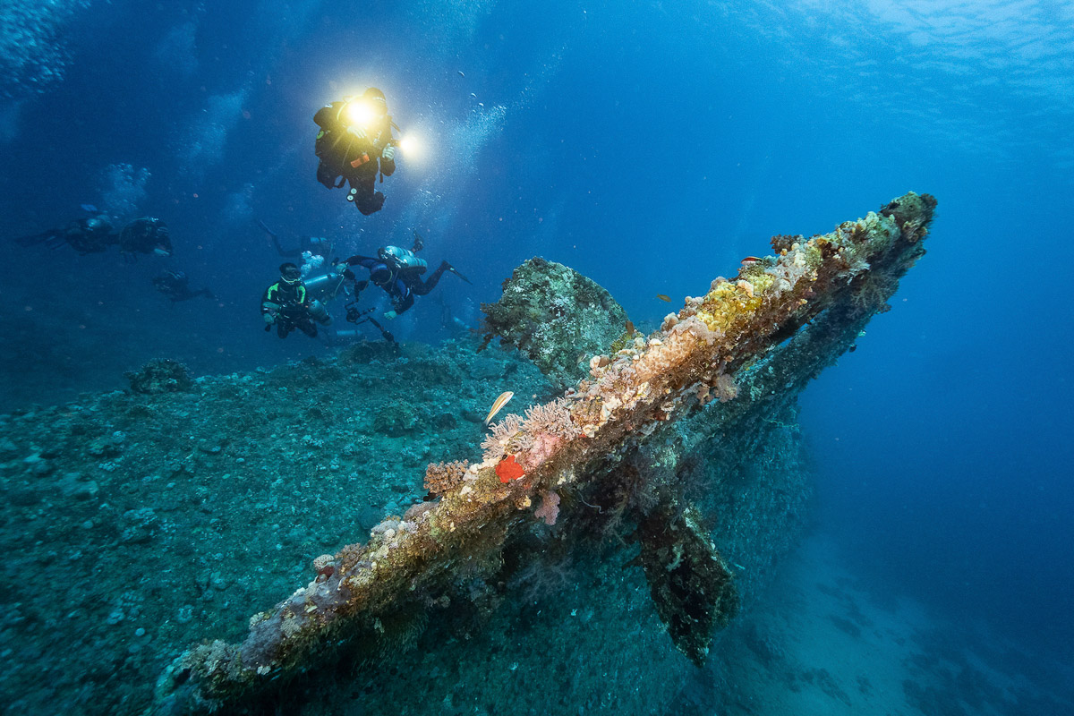Best wrecks in the Red Sea: Egypt's SS Dunraven wreck