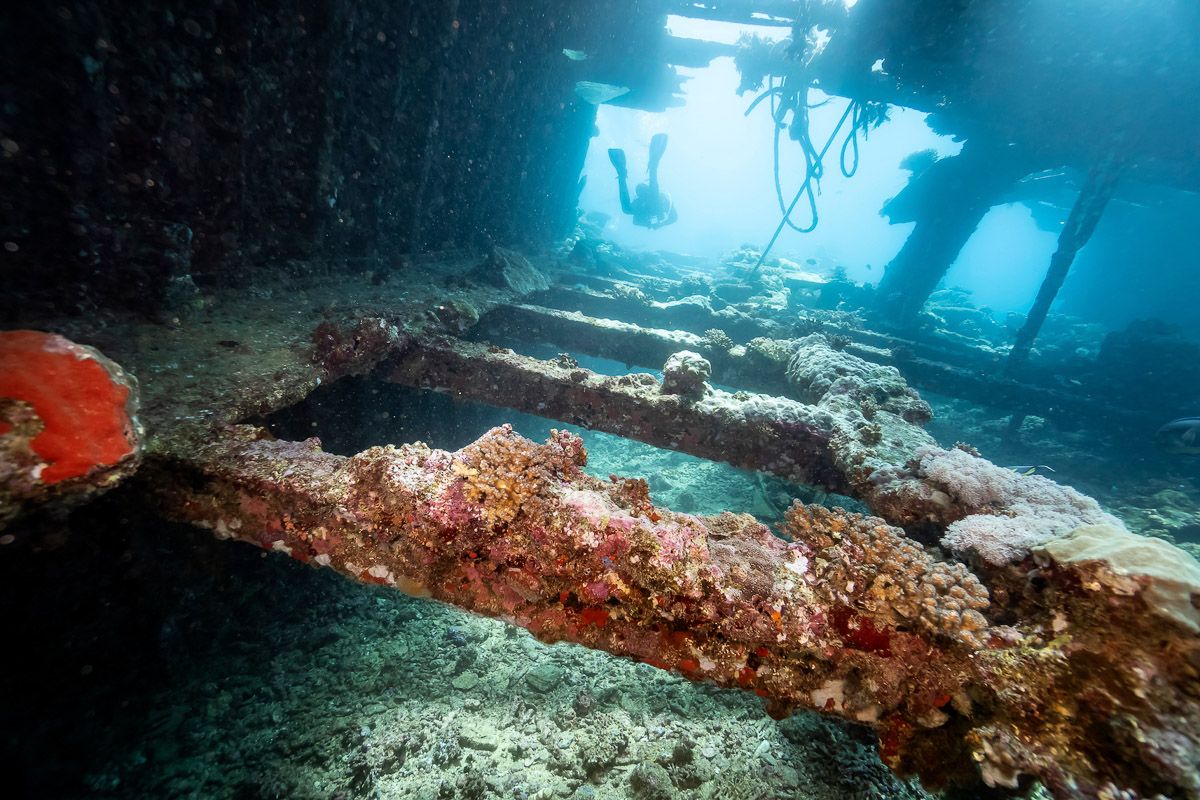 Best wrecks in the Red Sea: Egypt's SS Kingston wreck