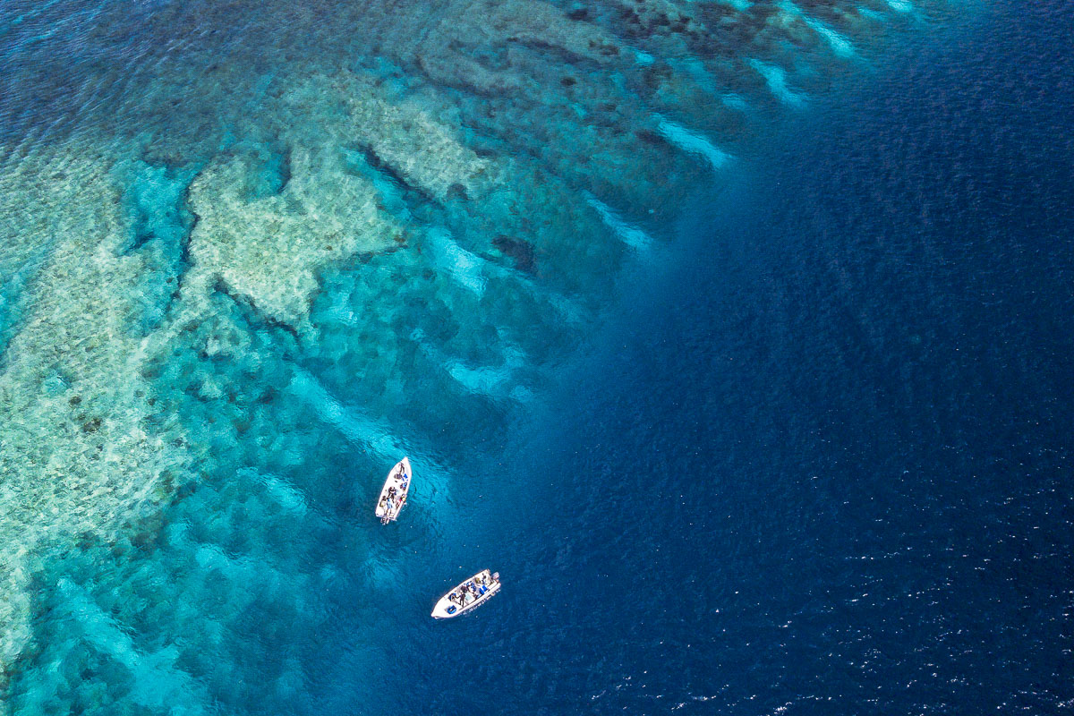 Astove's remarkable coral reef wall