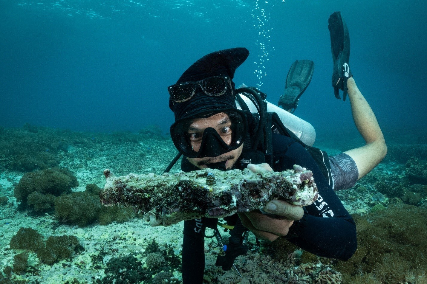 Help ZuBlu restore a coral reef this holiday season! 