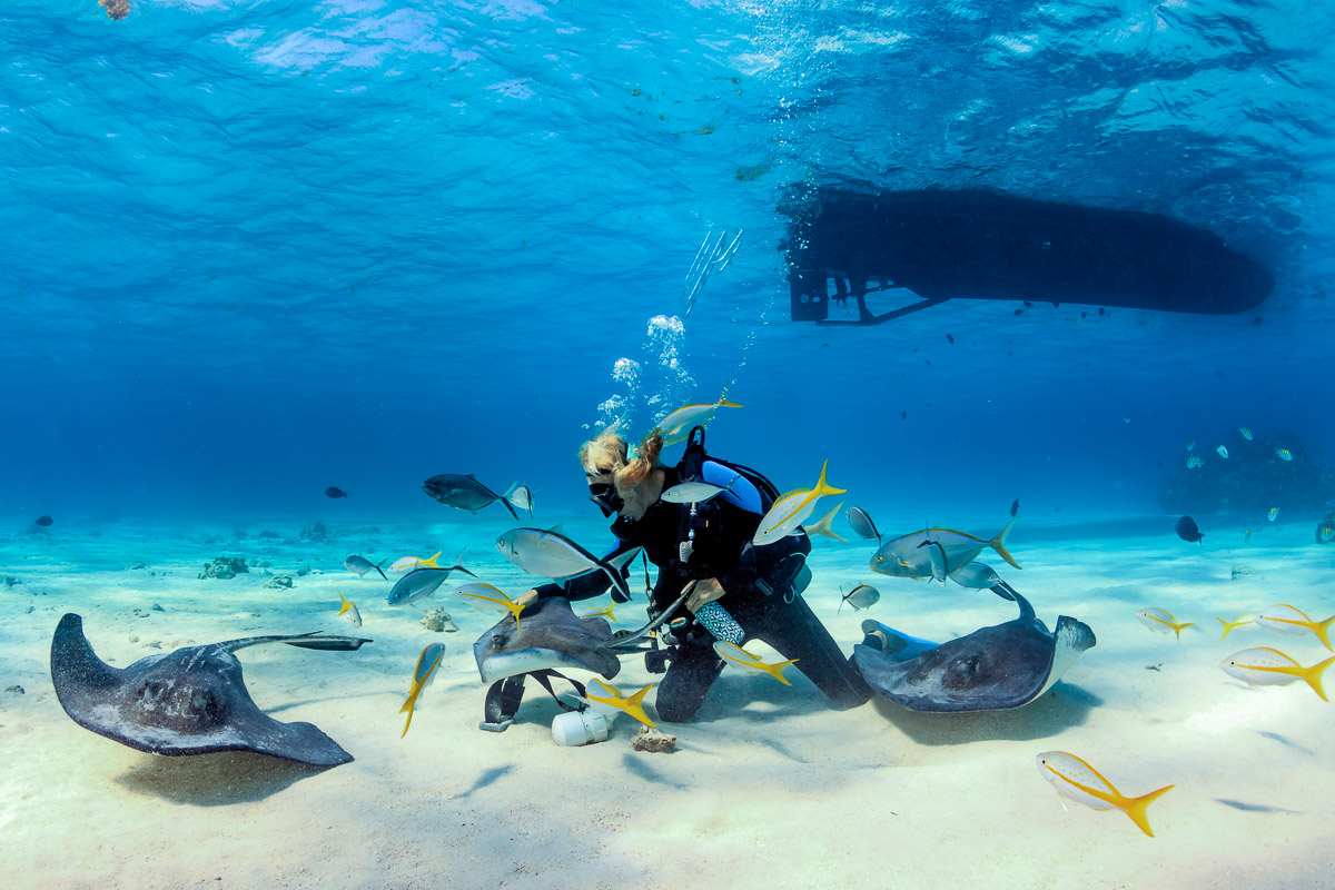 Diving at Stingray City, Cayman Islands