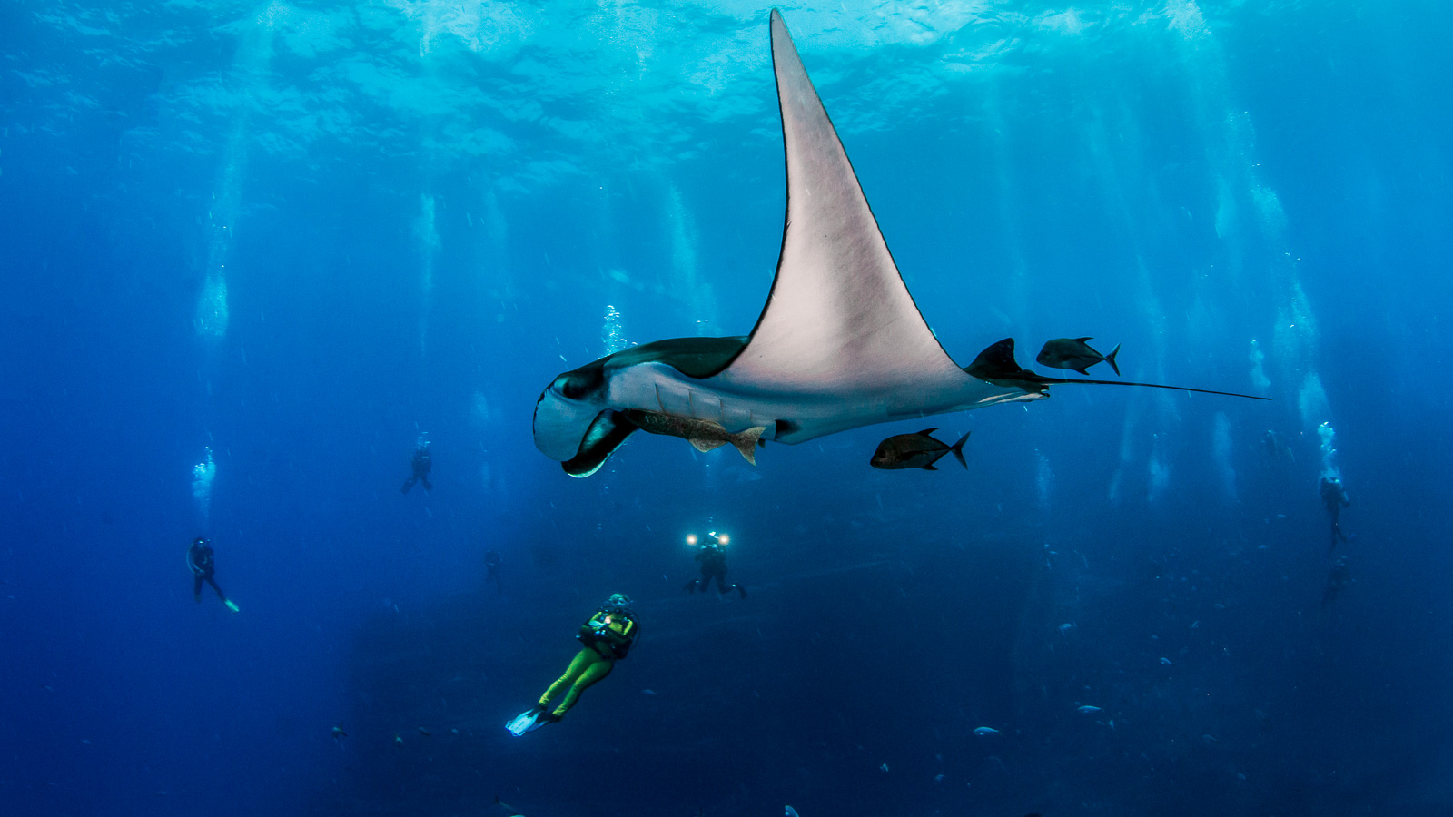 World’s best liveaboard itineraries for advanced divers