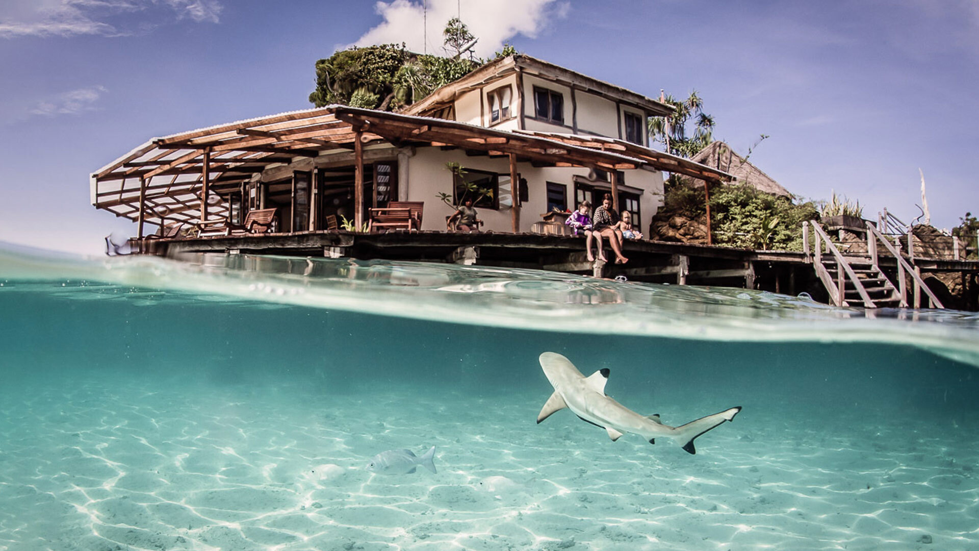 Luxury eco-conscious dive resorts
