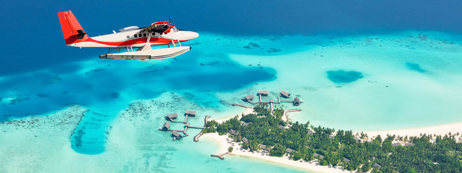 Free guide to the best diving in the Maldives