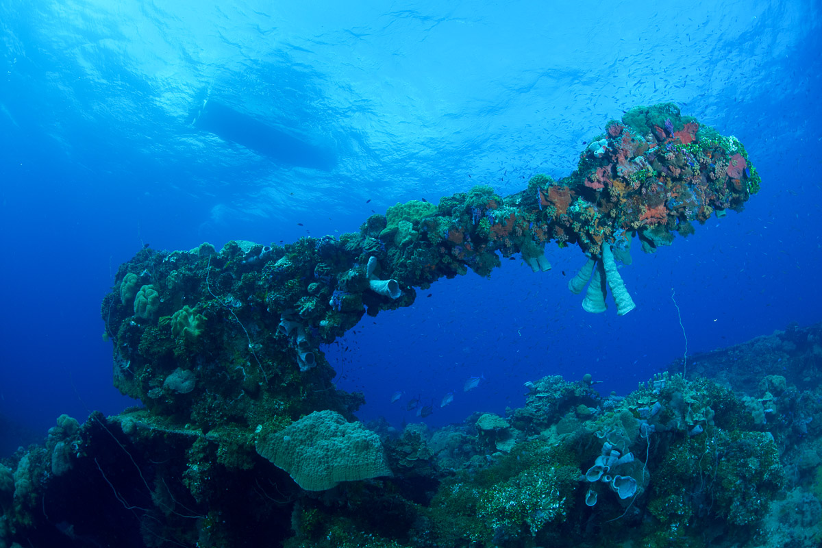 The forward gun on the Fujikawa Maru, Chuuk