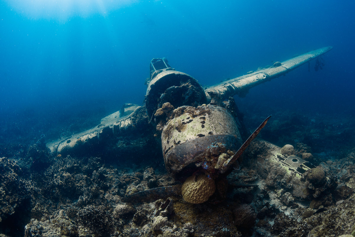 The Jake seaplane wreck in Palau