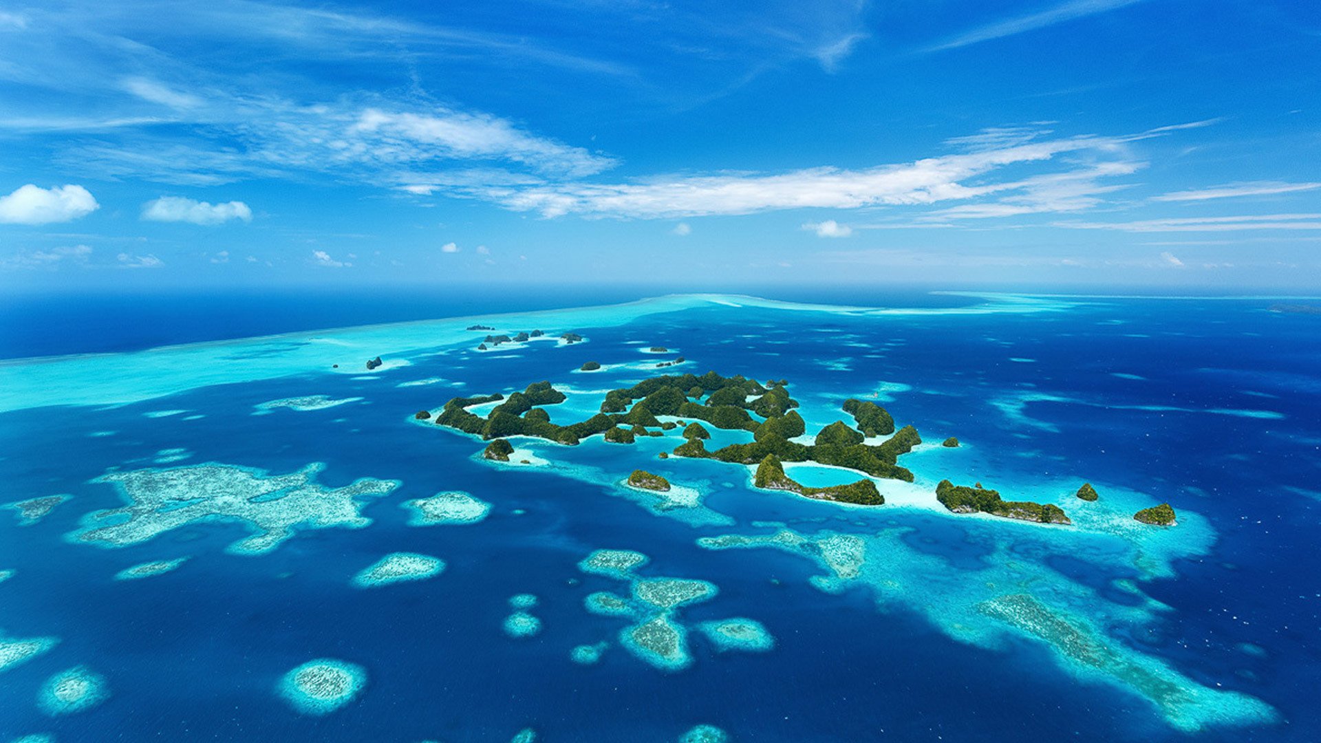 Diving in Palau - the jewel of Micronesia