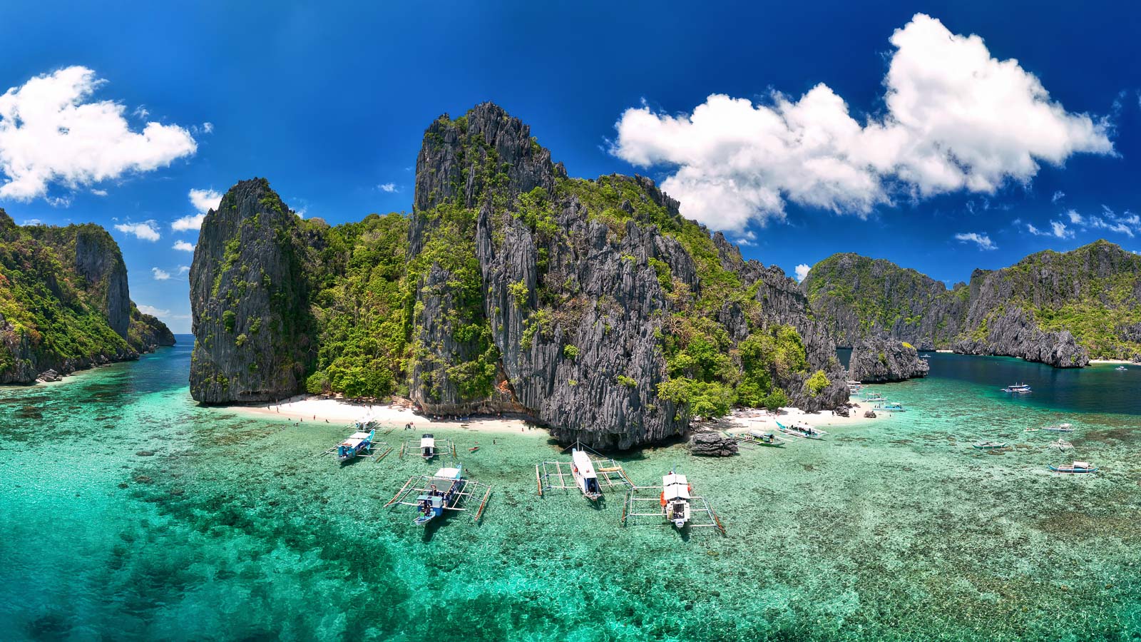 Which is better? Scuba diving in the Philippines, or Indonesia?