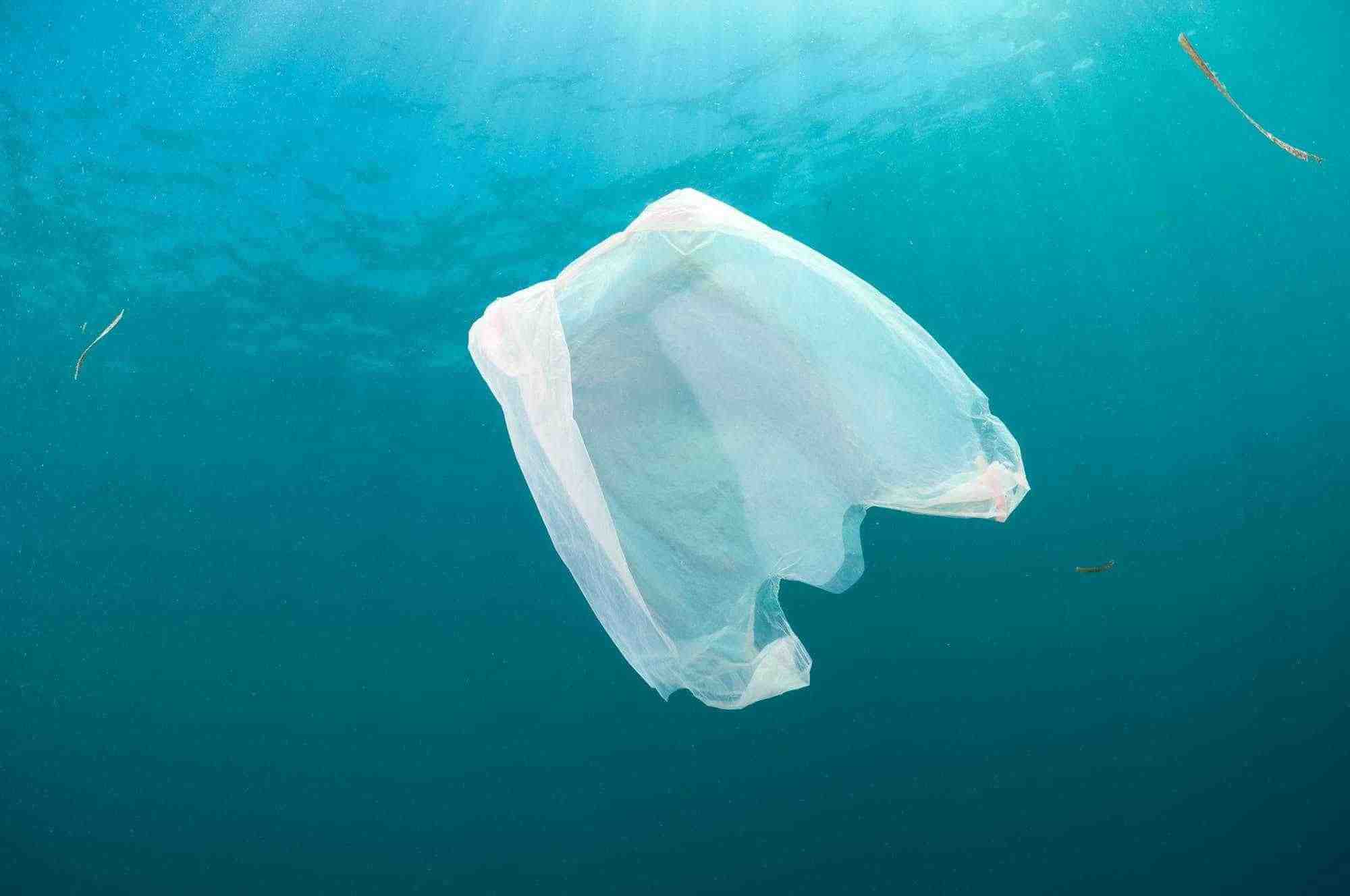 Why Are Plastic Bags Bad for The Environment  Earth Reminder