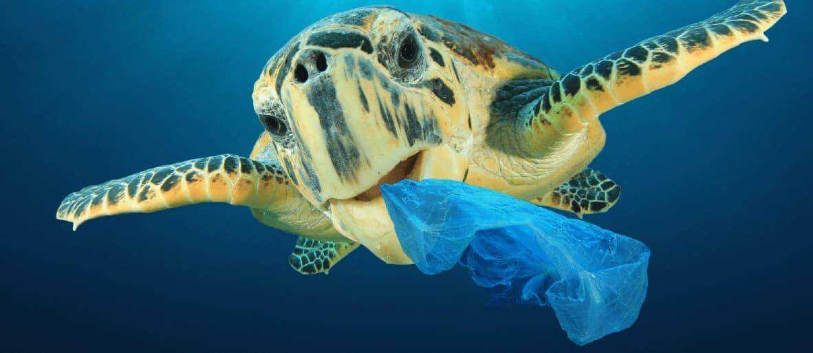 10 Simple ways to reduce plastic waste